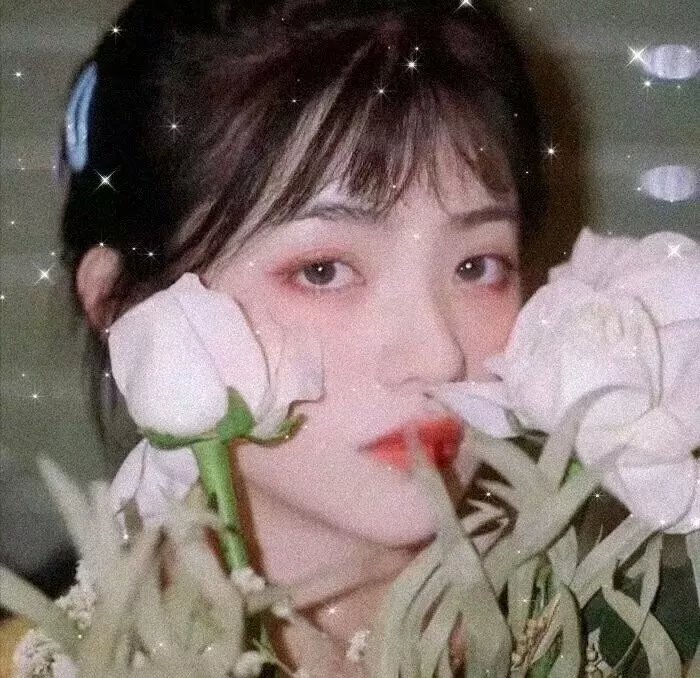 芳心处处开