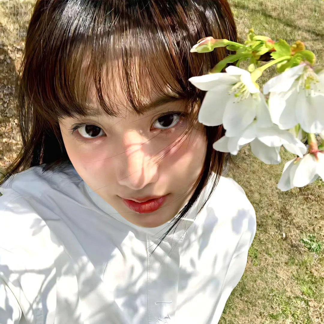 杰伊·比姆